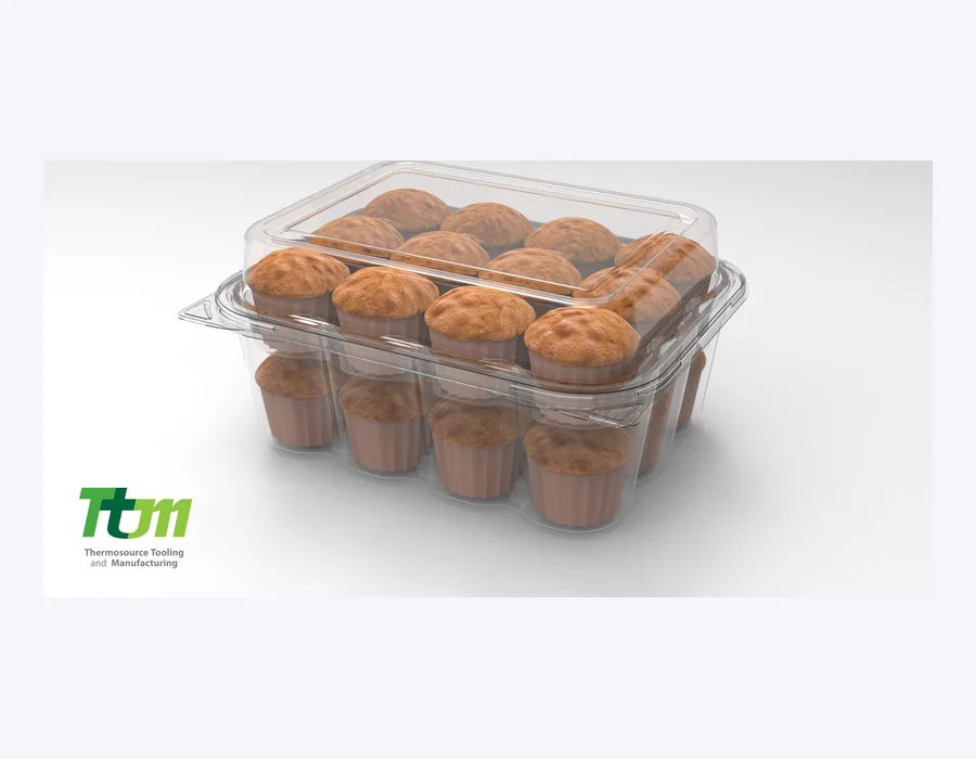 Raytek MCH-24 packaging format