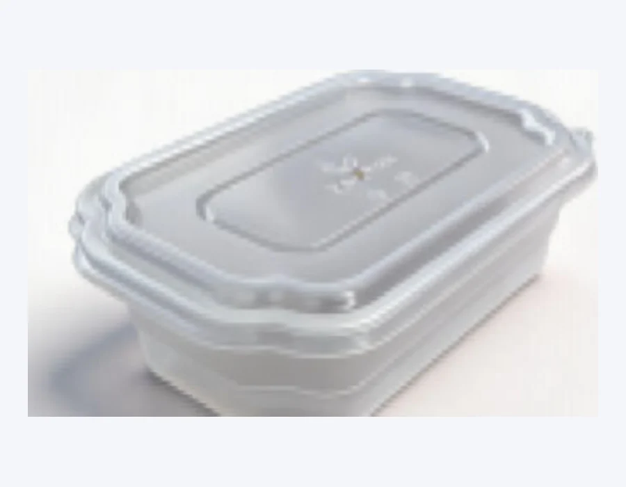 Raytek RT01-P700 packaging format