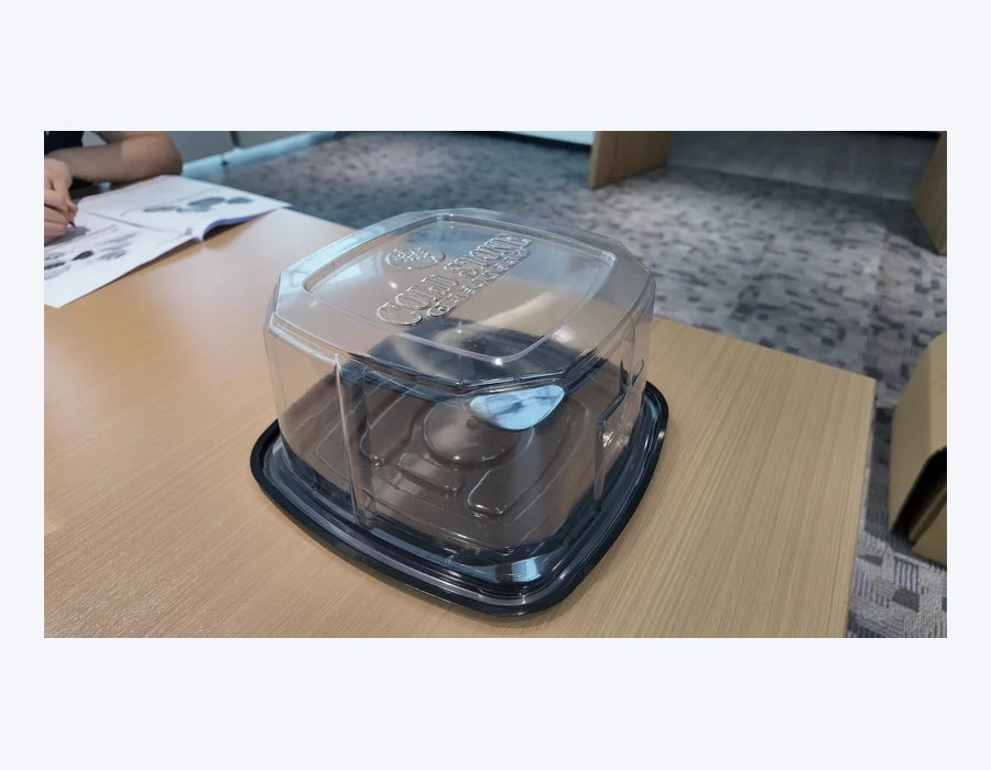 Raytek RT02-cakebox03 packaging format
