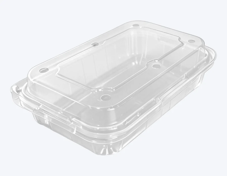Raytek RT04-250g packaging format