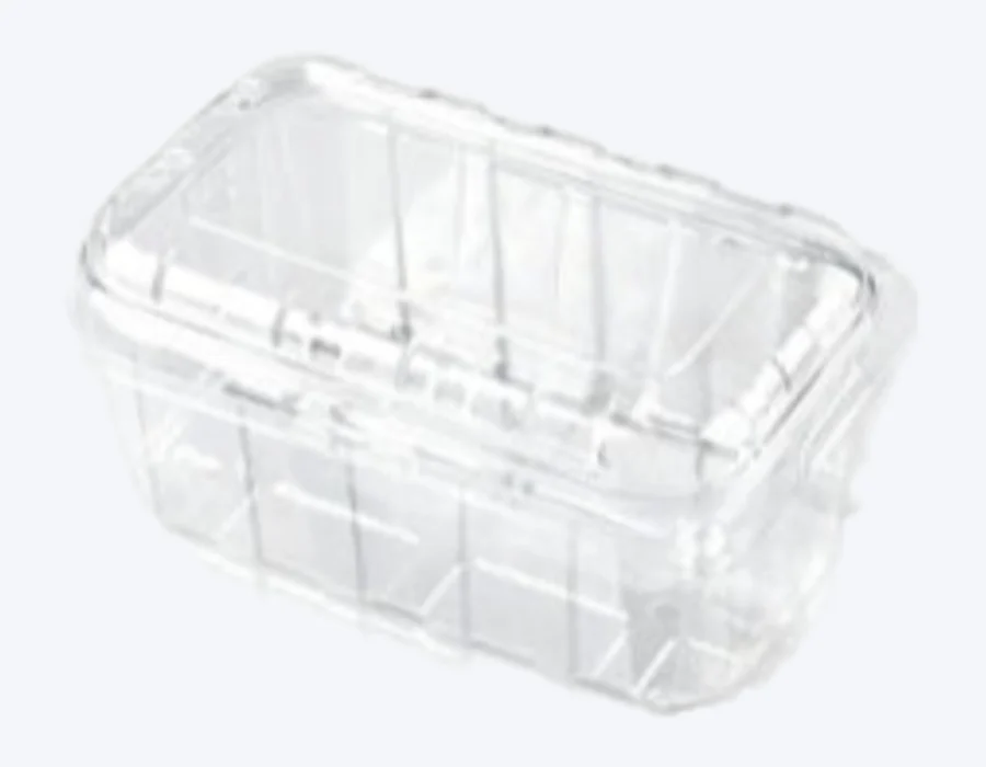 Raytek RT04-500gA packaging format