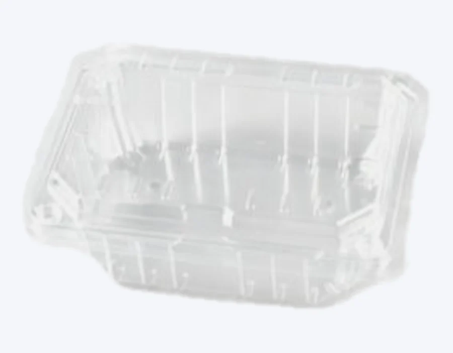 Raytek RT04-500gC packaging format