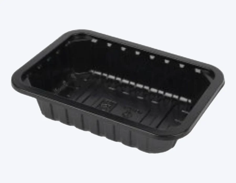 Raytek RT05-1313 packaging format