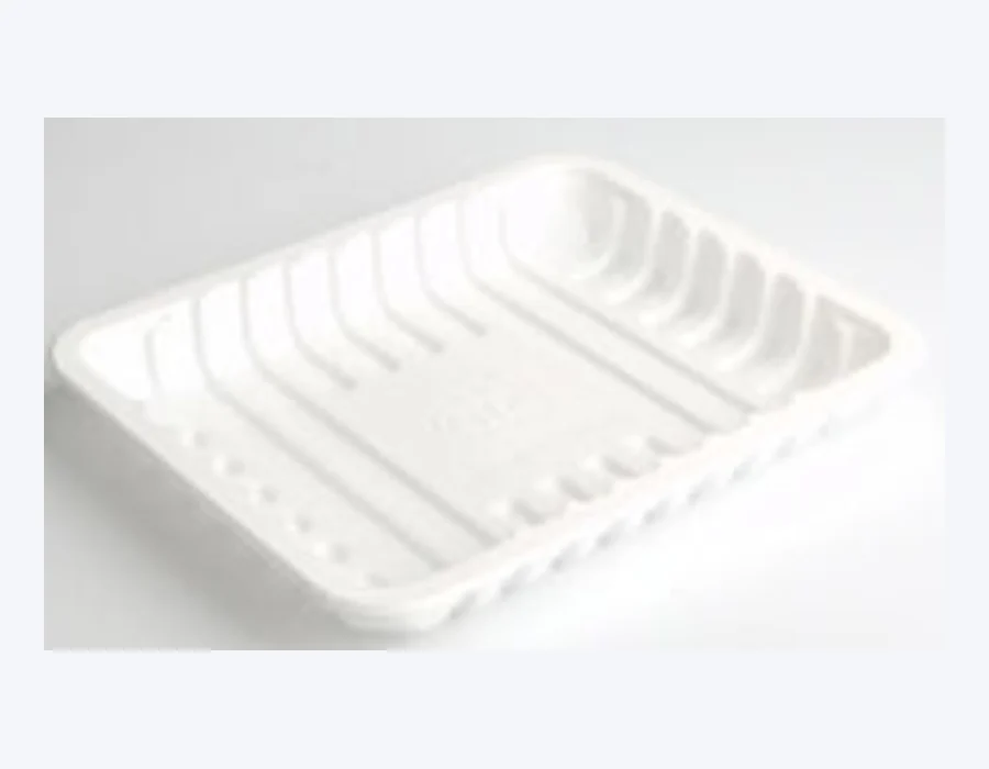 Raytek RT05-24193 packaging format